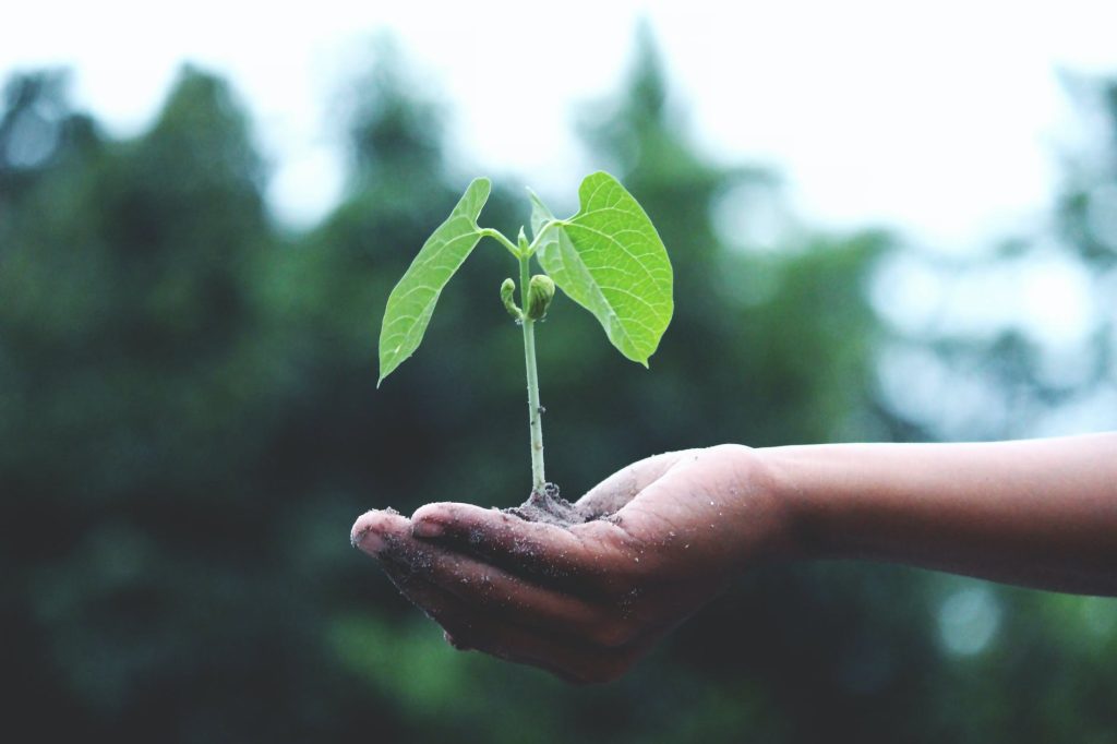 Don’t Rely on the Individual to Save the Planet!